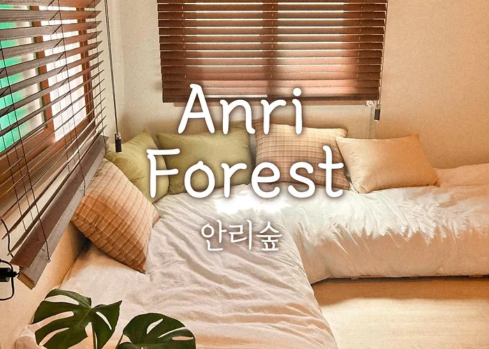 Anri Forest Stay #5People#Rooftop#Laundry