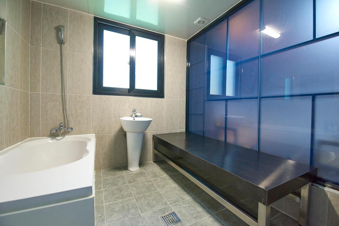 Hotel Danube Seomyeon *