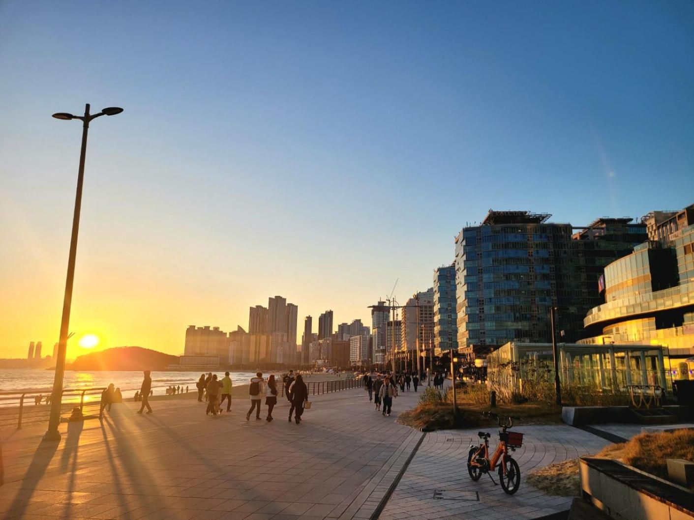 Pale De Cz Busan