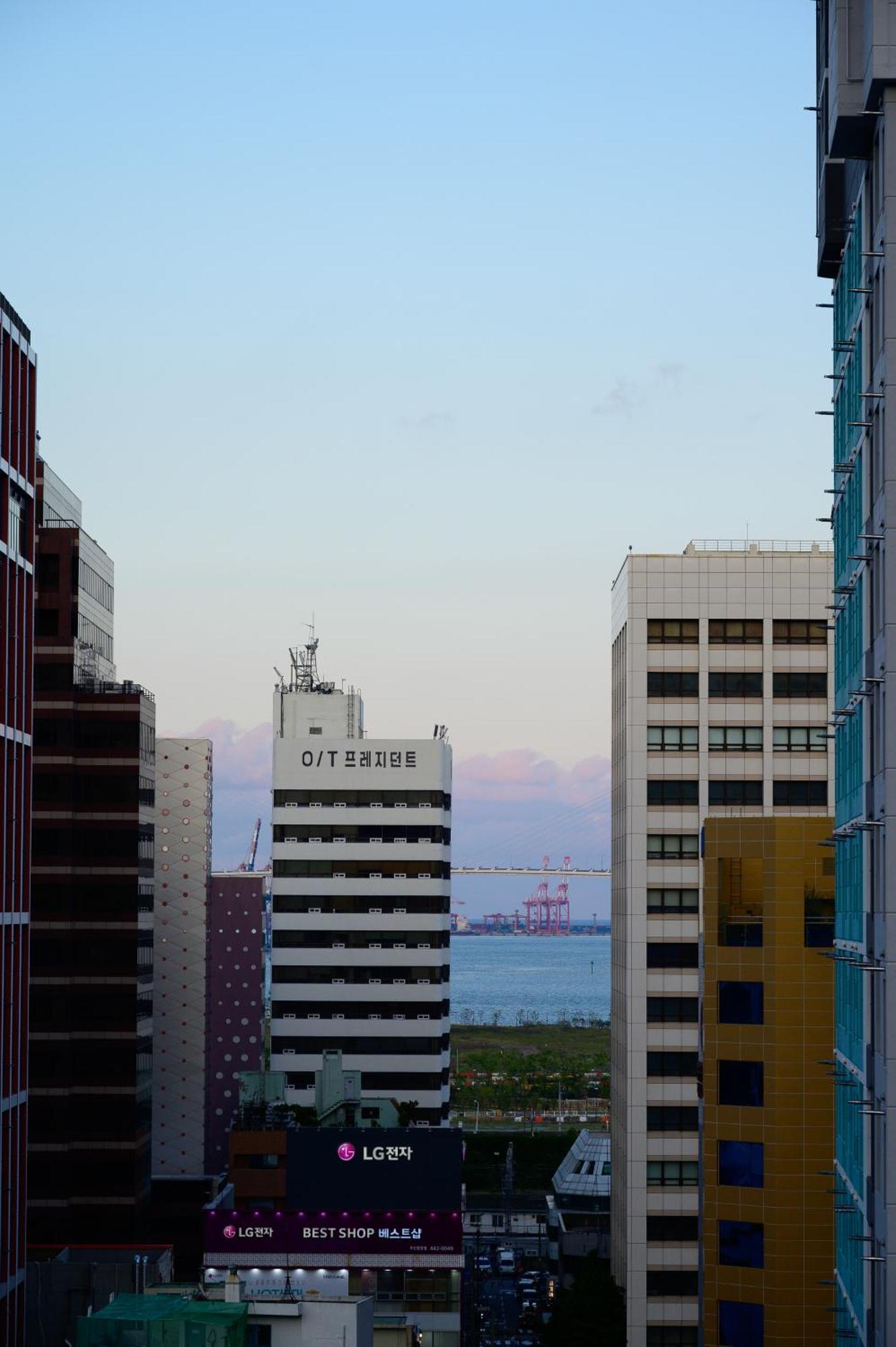 Catnap Appartamento Busan