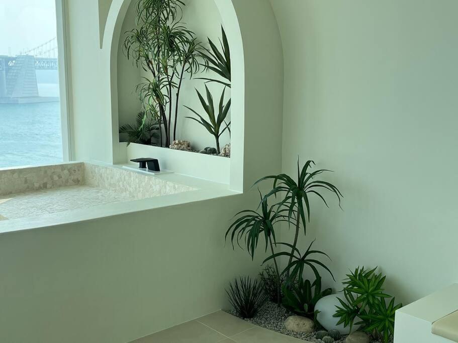 Roha Poolvilla #opensale Busan