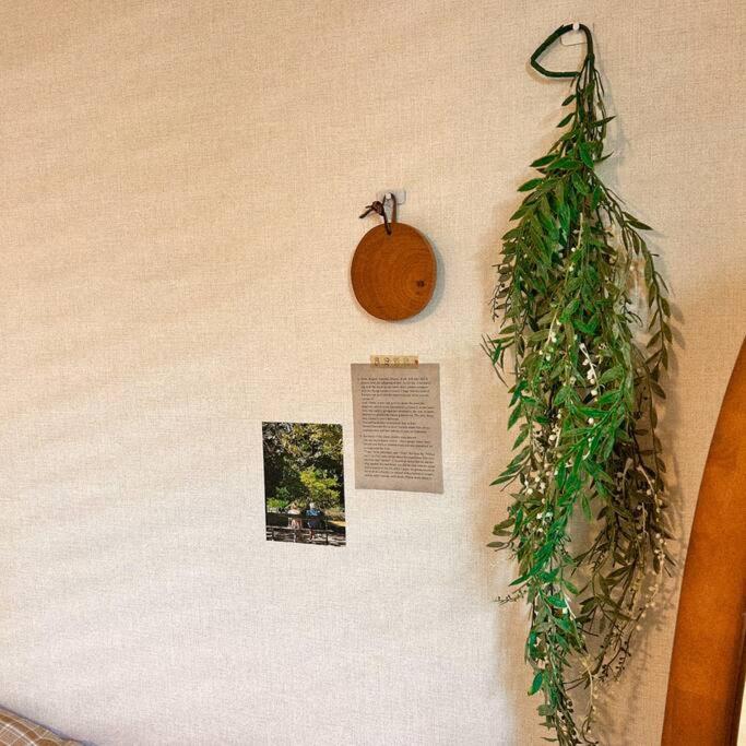 Anri Forest Stay #5People#Rooftop#Laundry *