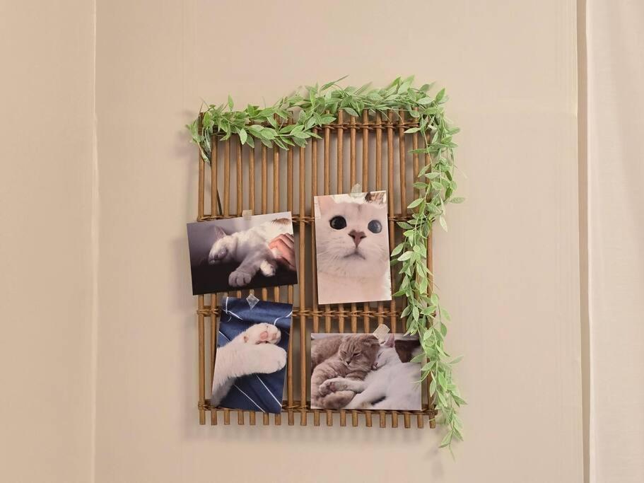 Appartamento The White House Toseong Busan