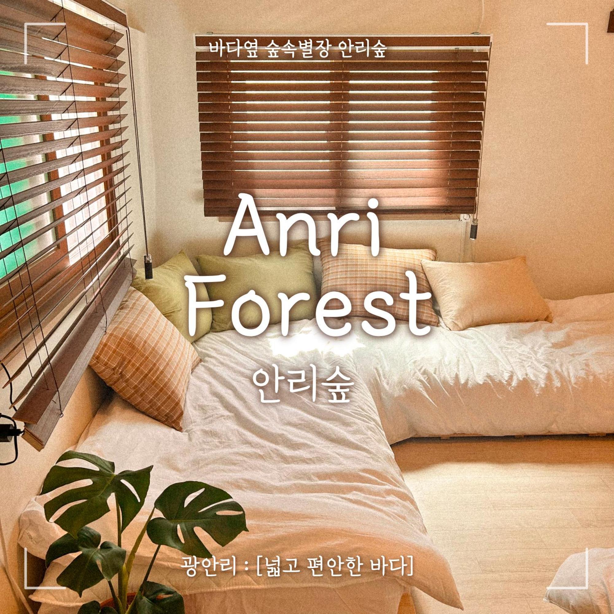Anri Forest Stay #5People#Rooftop#Laundry *