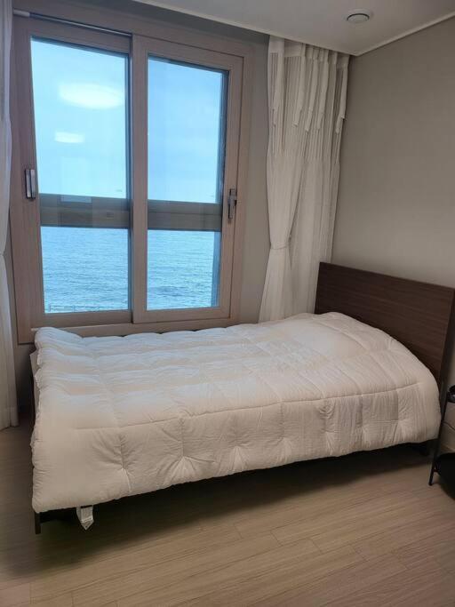 Oceanview - Short And Long Term *