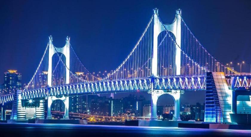 Homers Busan