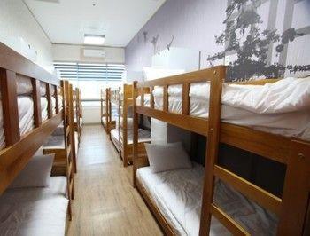 Hostel Terra