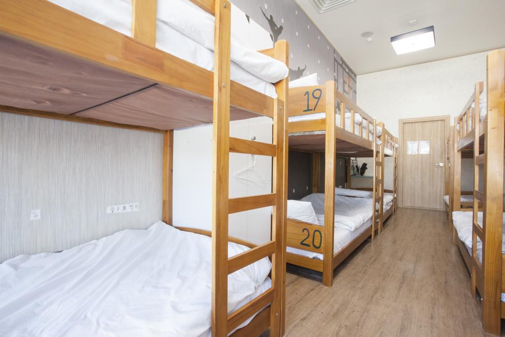 Hostel Terra