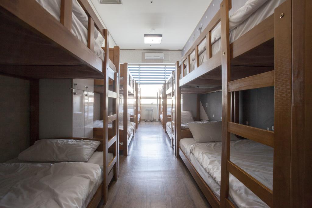 Terra Hostel *