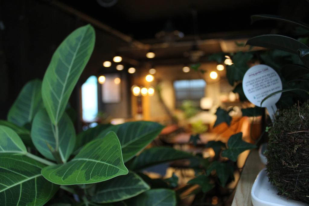Hostel Good Day Mate Busan