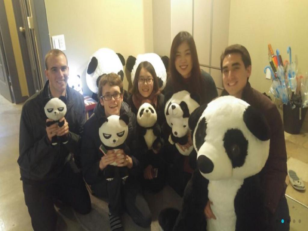 Panda Guest house 2*