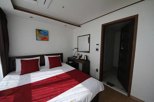 Camelia Hotel
