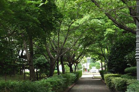Homestay Cozy Haeundae *