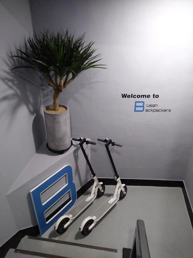 Backpackers Hostel