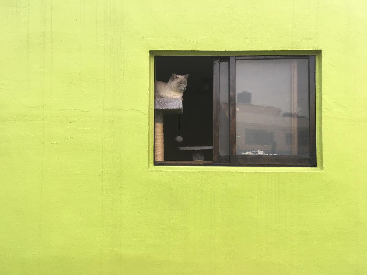 Backpackers Hostel Busan