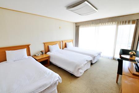 Hotel Youth Arpina