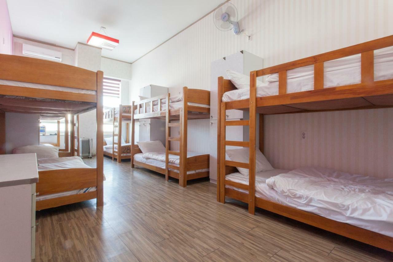 Hostel Terra