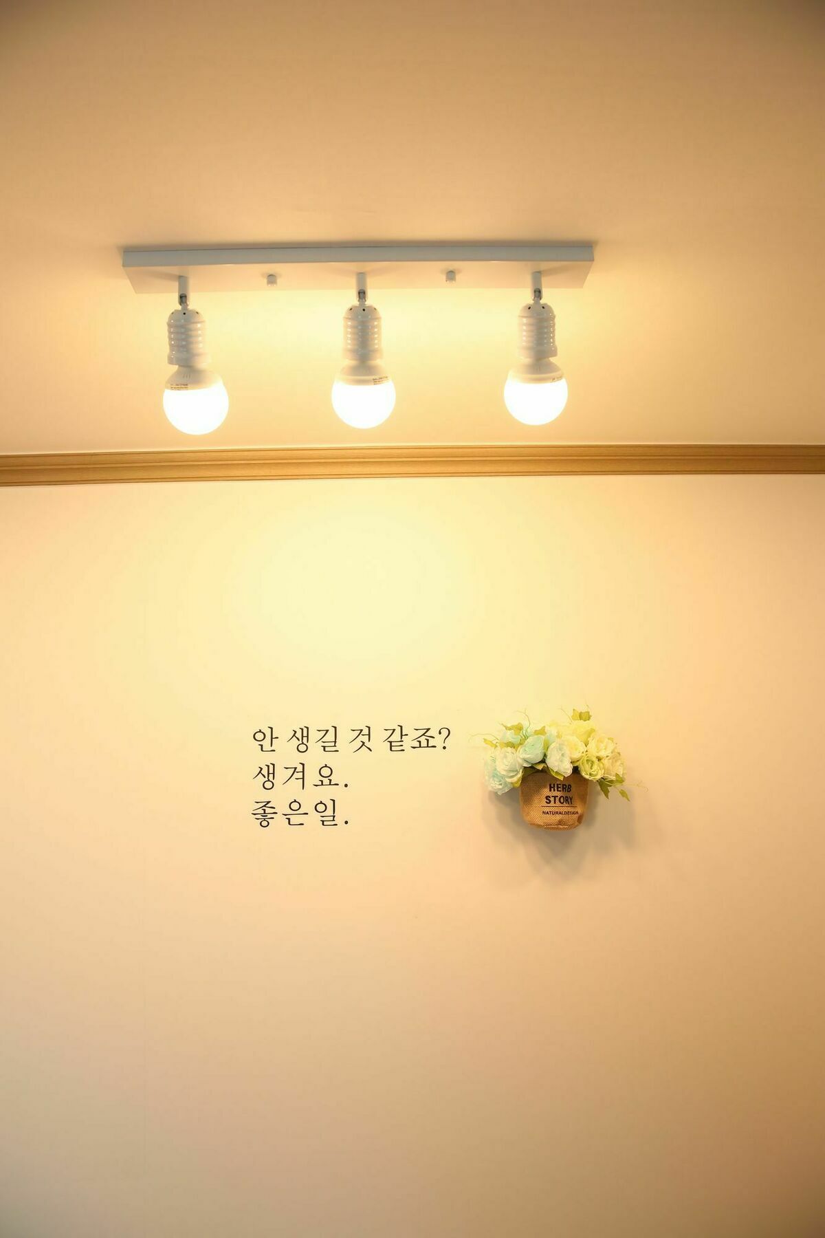 Park's Haeundae Busan