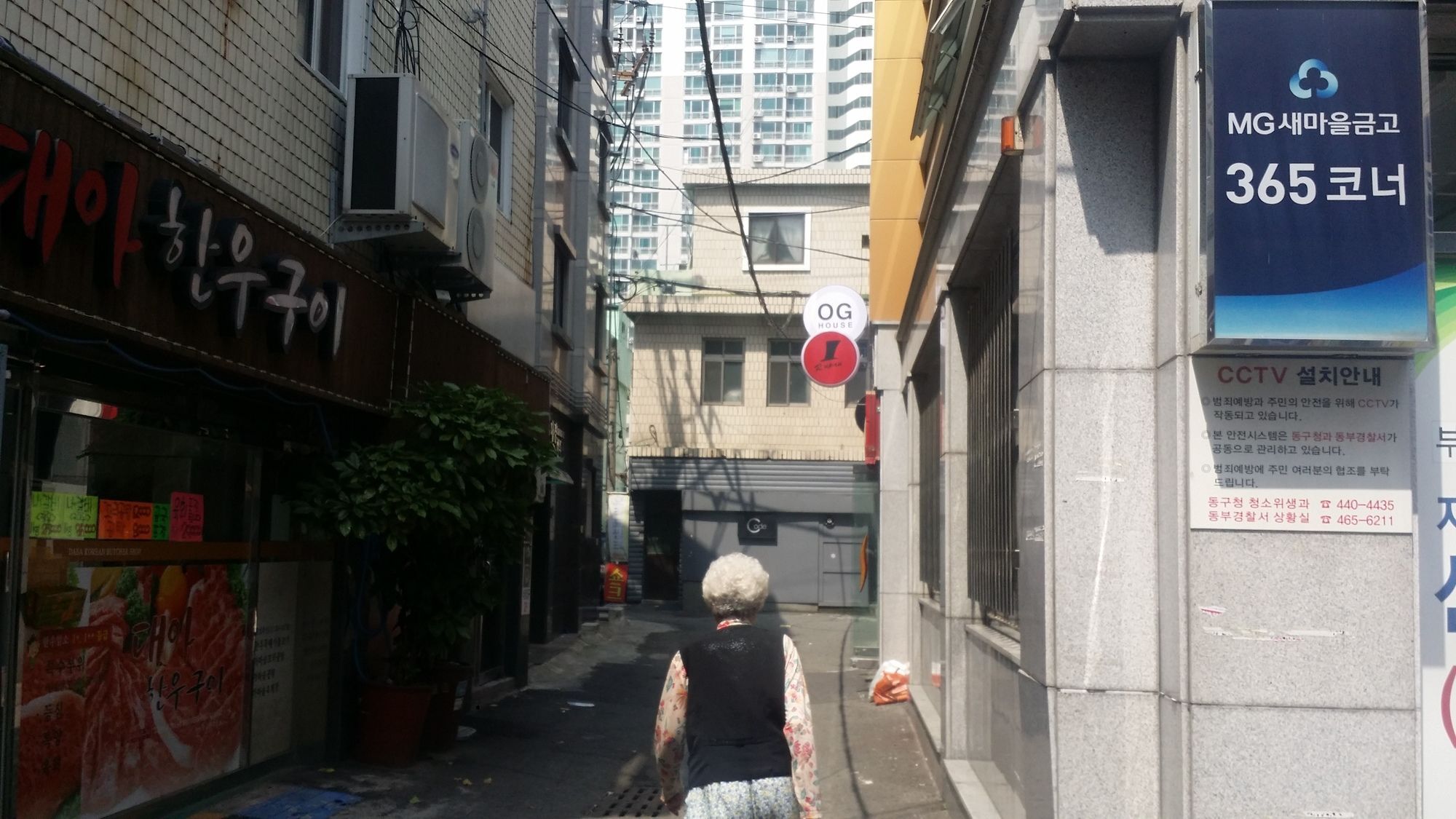Og - Busan