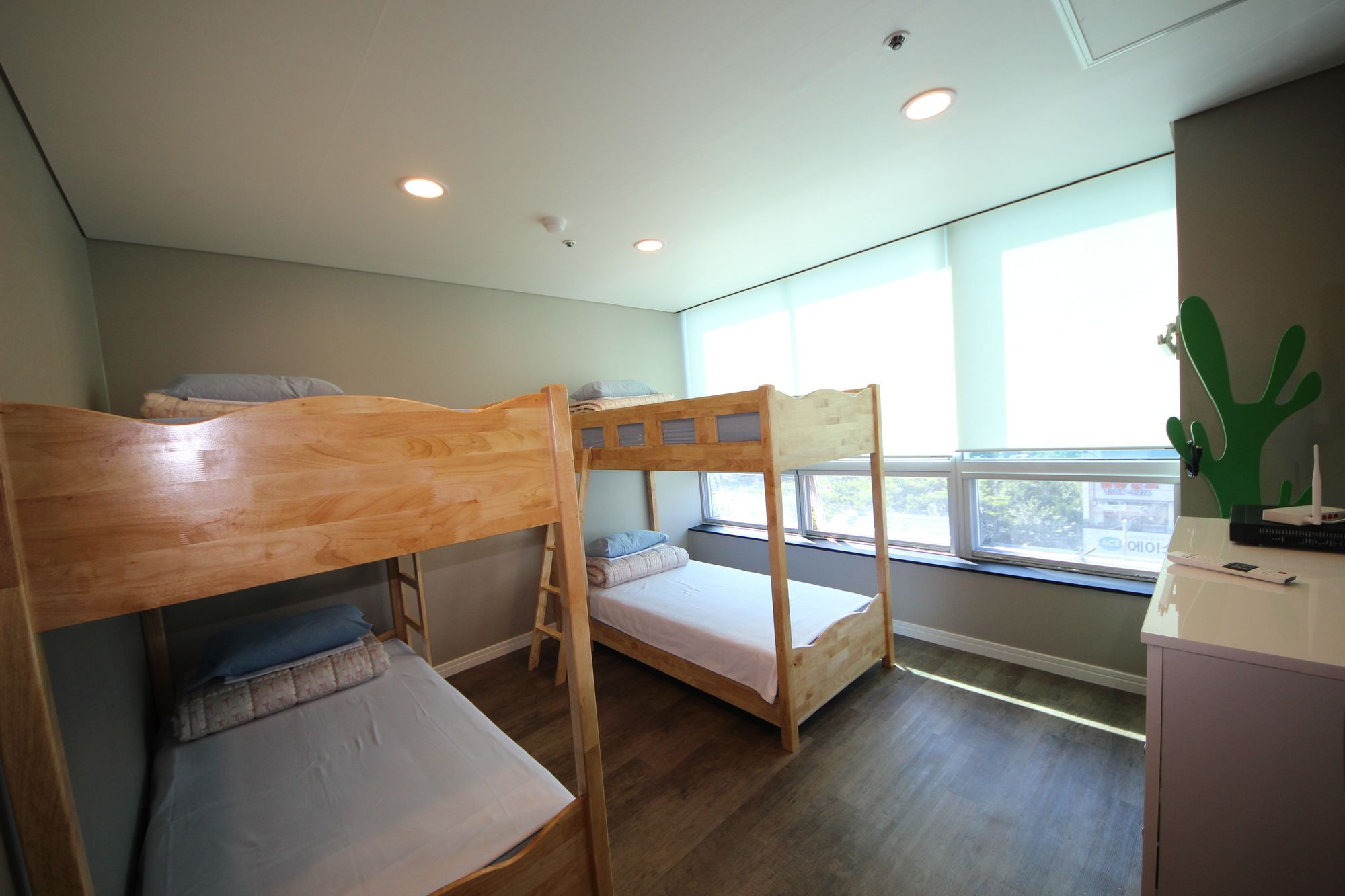 Hostel The New Day *