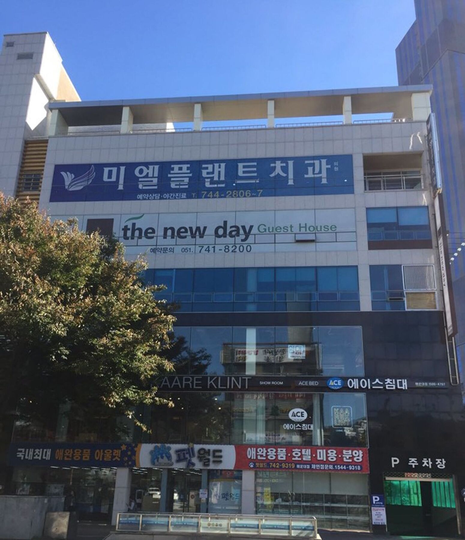The New Day Hostel *