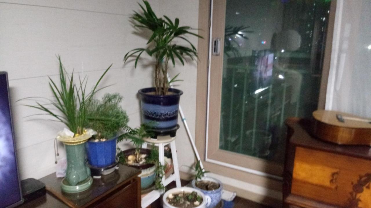 Gumsam Homestay * Busan