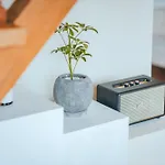 Mute Stay