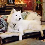 White Island Bed & Breakfast