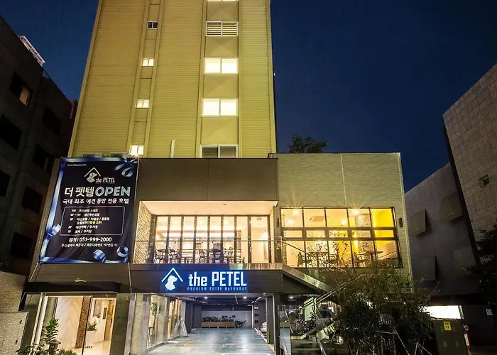 Sleep With Your Own Pet Only - The Petel