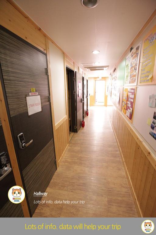 Hi Korea Hostel *