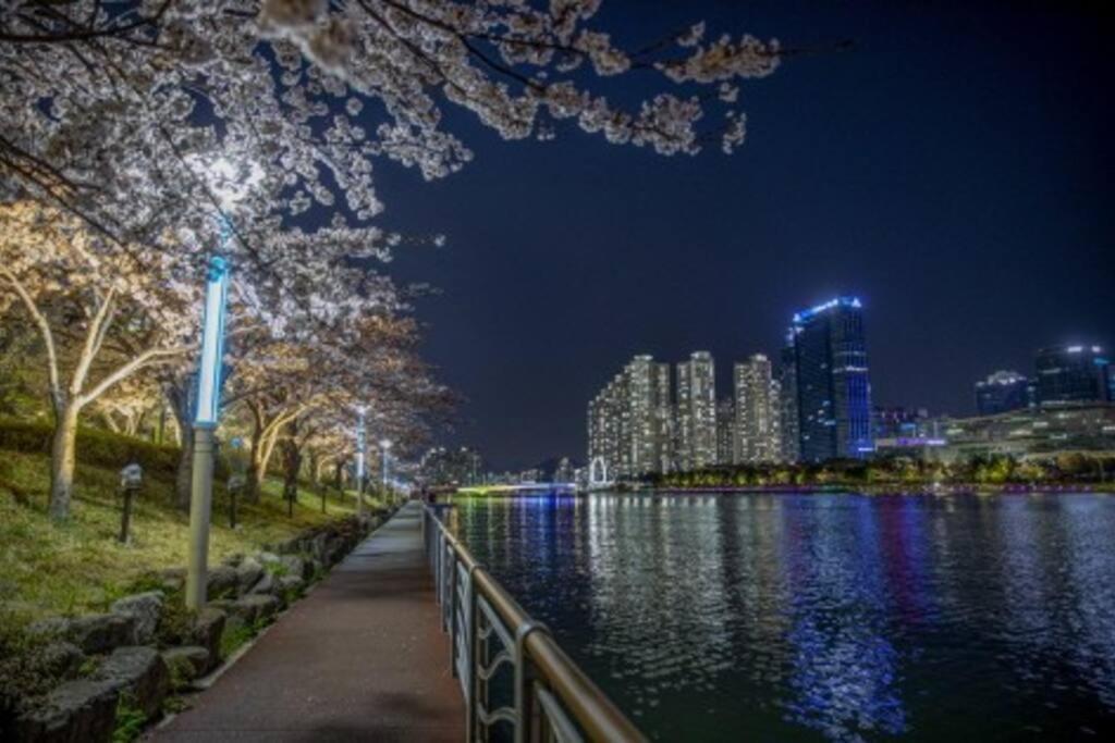 Penthouse Gwangan Located Main Enterance Of The Beach! Free Parking & Bbq With Amazing Patio! Pousada Busan