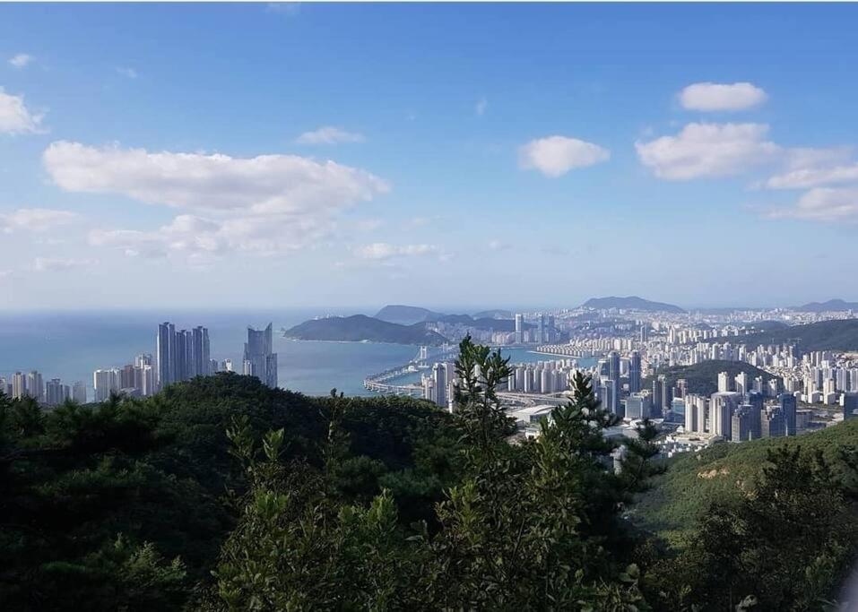 Haeundae Property Busan