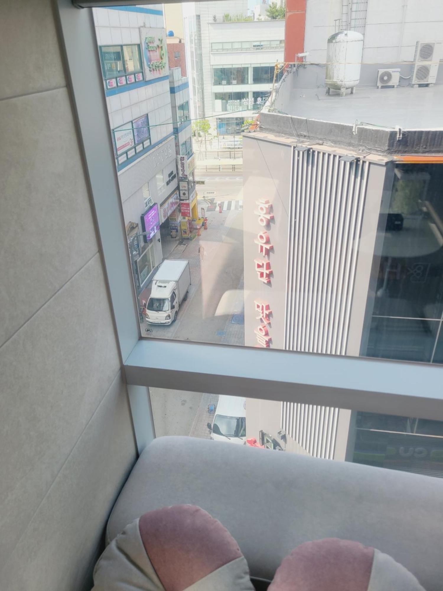 Elephant * Busan