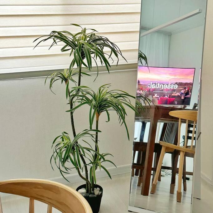Kims House Open #busan Hospital #jagalchimarket #gukjemarket #nampo #metro3min Apartment