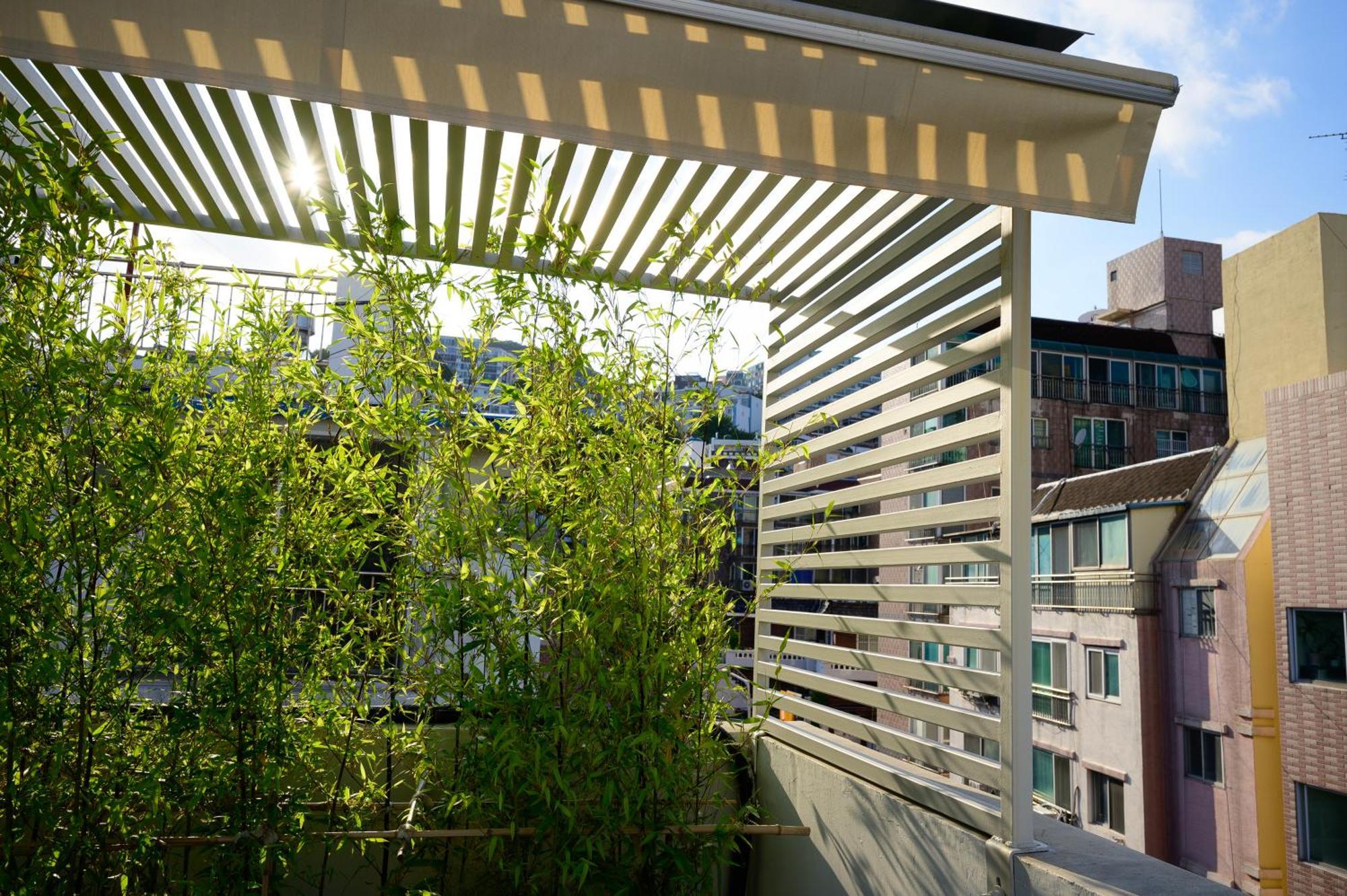 Catnap Apartment Busan