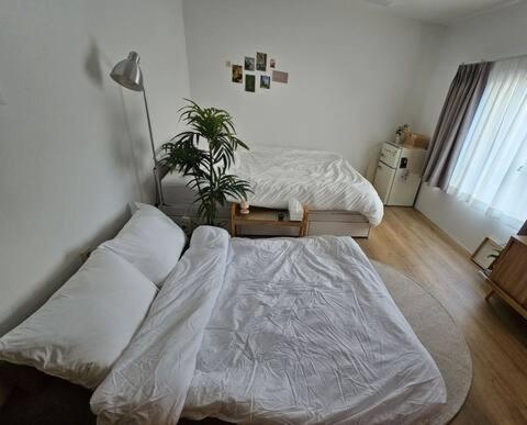 Catnap Apartment