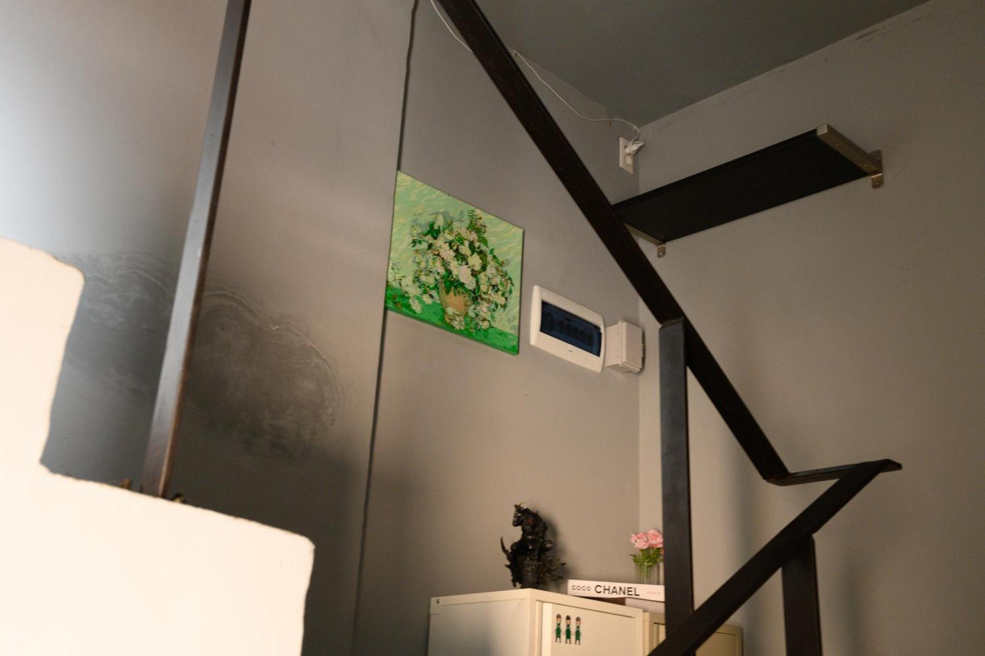 Catnap Apartment