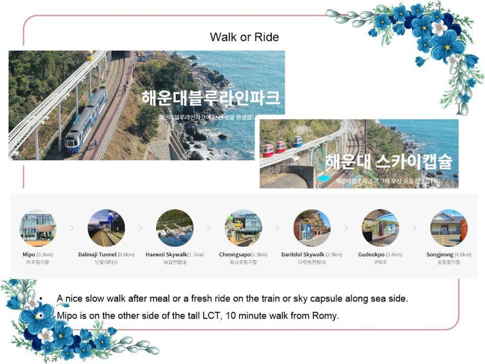 40 Queen, 2 Minutes Run To The Beach, Close To The Sea, 5 Minutes To Club D Oasis Swimming Pool, And Long Walk Along The *