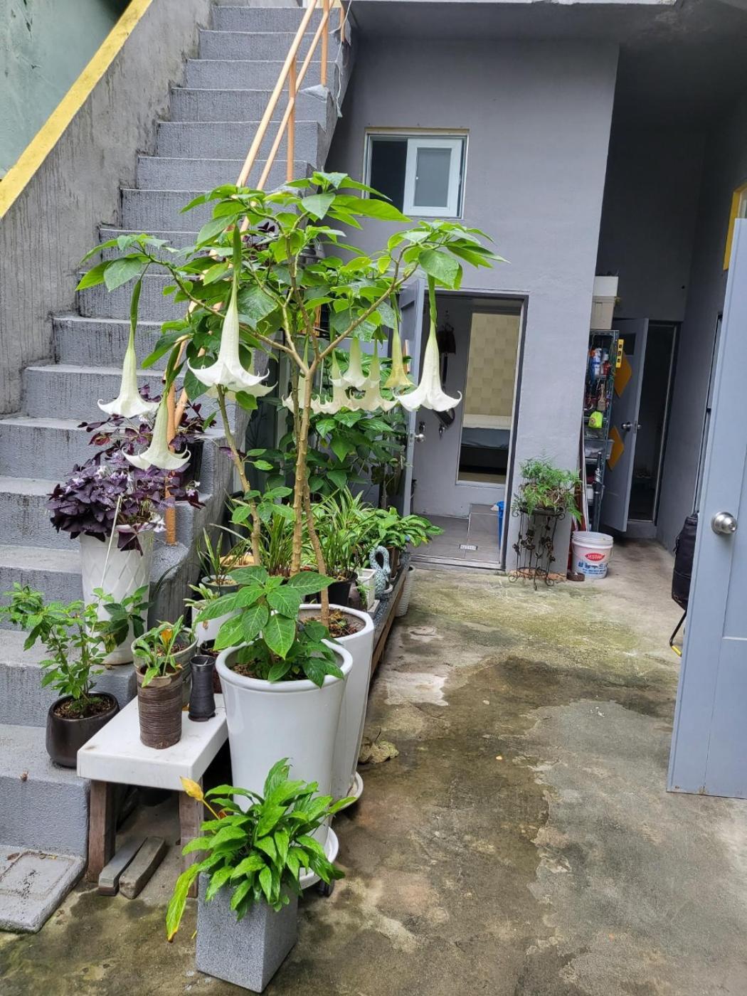 Jun House - Foreign Only Villa Busan