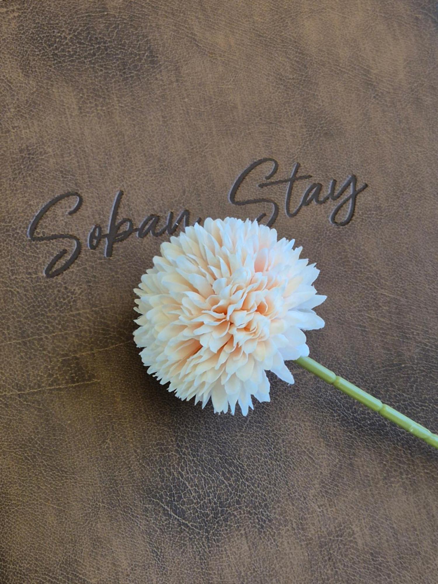 Villa Soban *