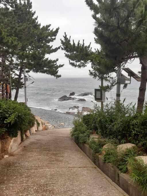 Oceanview - Short And Long Term Busan