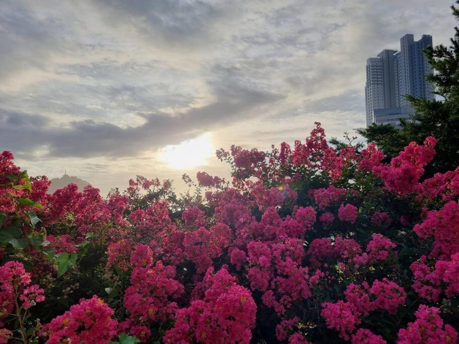 Apartment Oceanview - Short And Long Term *