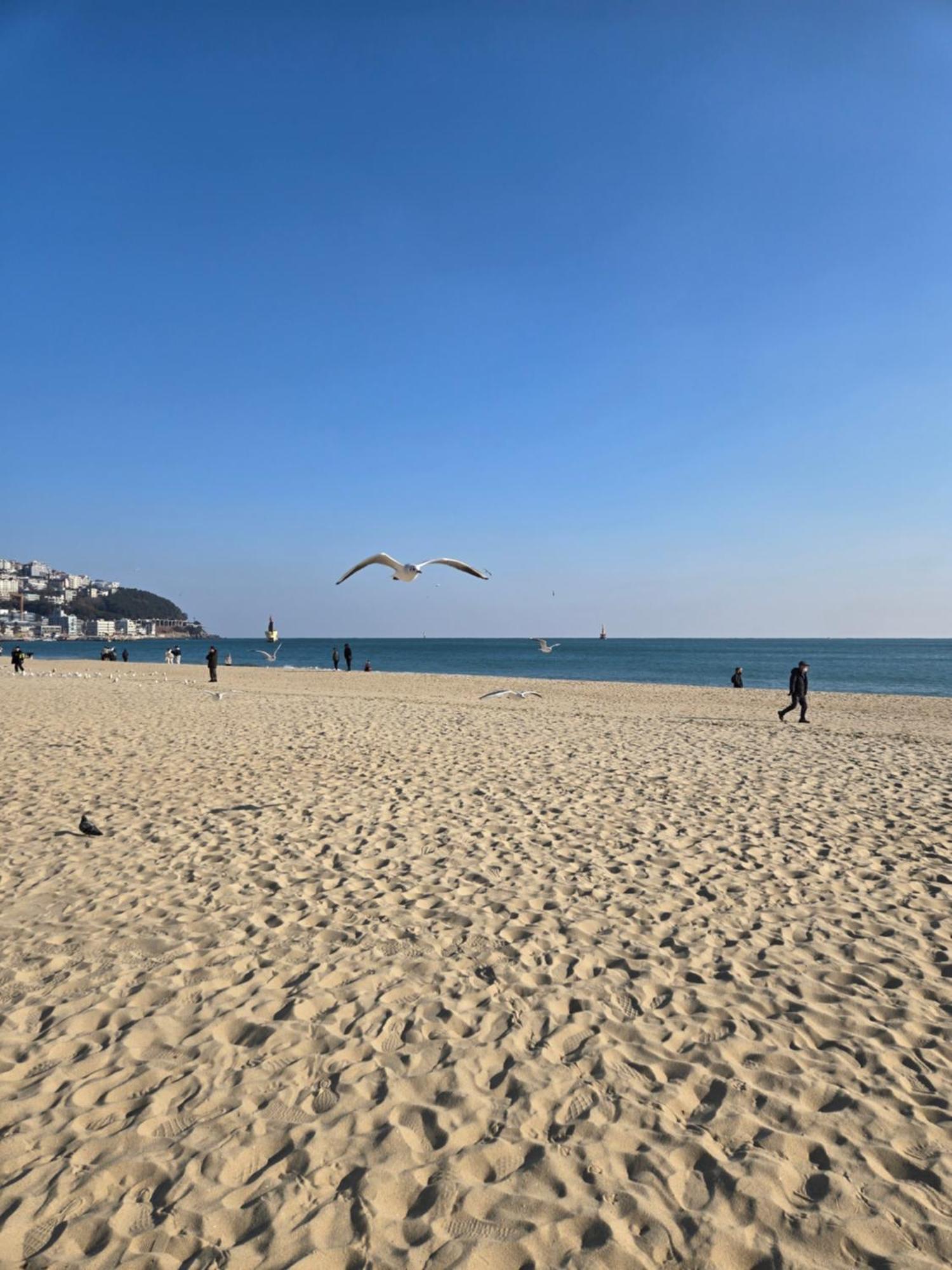 Bona Haeundae Premium Fantastic Ocean View Pangsapuri Busan
