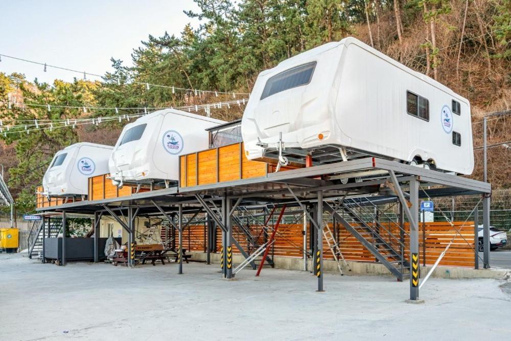 Zio Club Acampamento