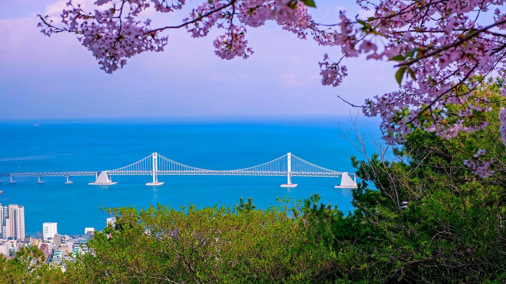 Hotel Kent Gwangalli By Kensington Busan