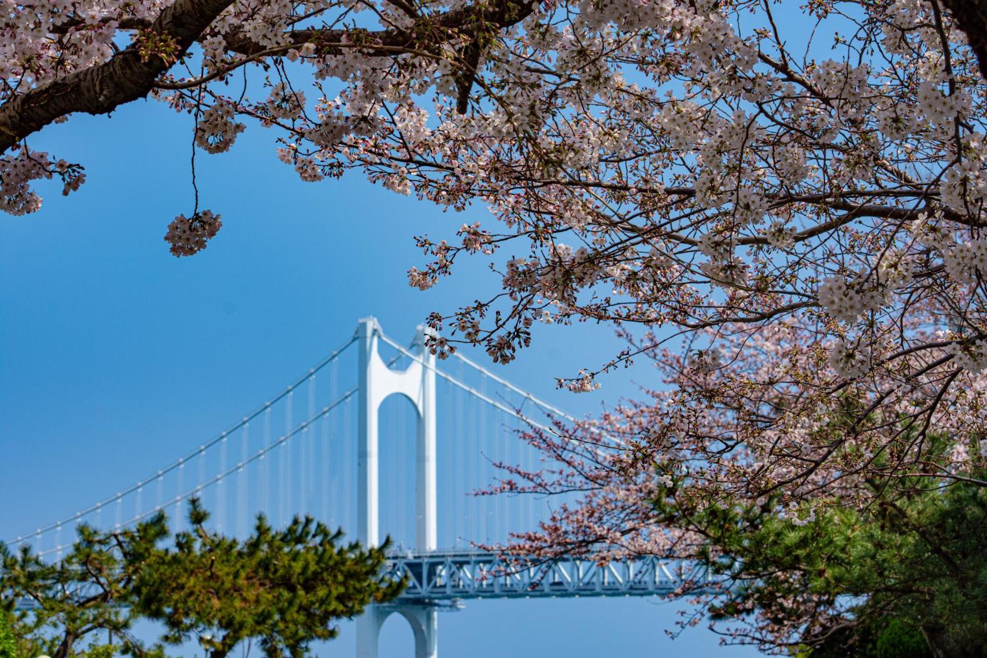 Kent Gwangalli By Kensington Busan