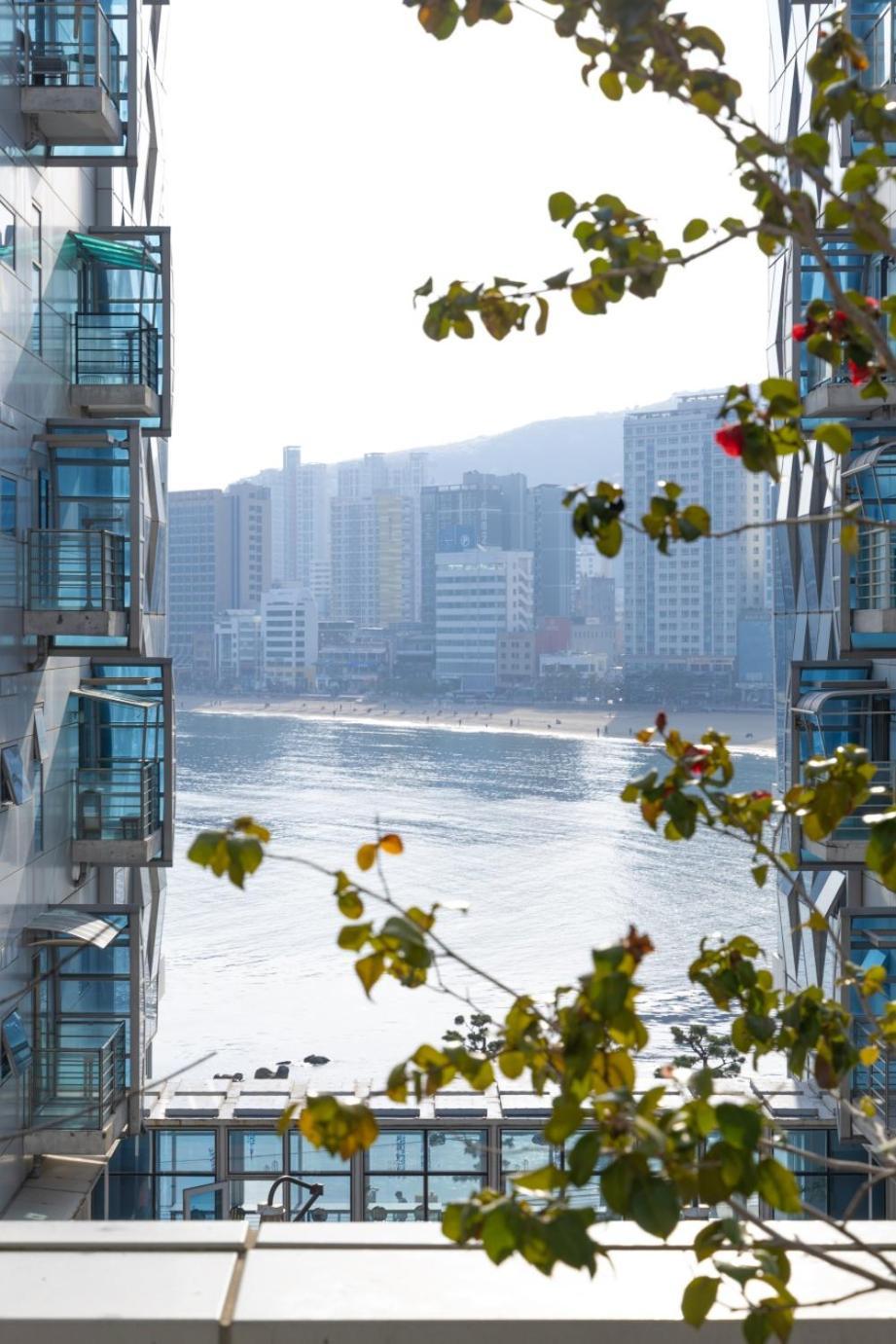 1 Minute To The Beach! Free Parking! Sauna And Gym Busan