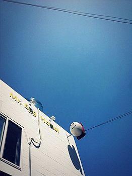 710 Yellow Busan
