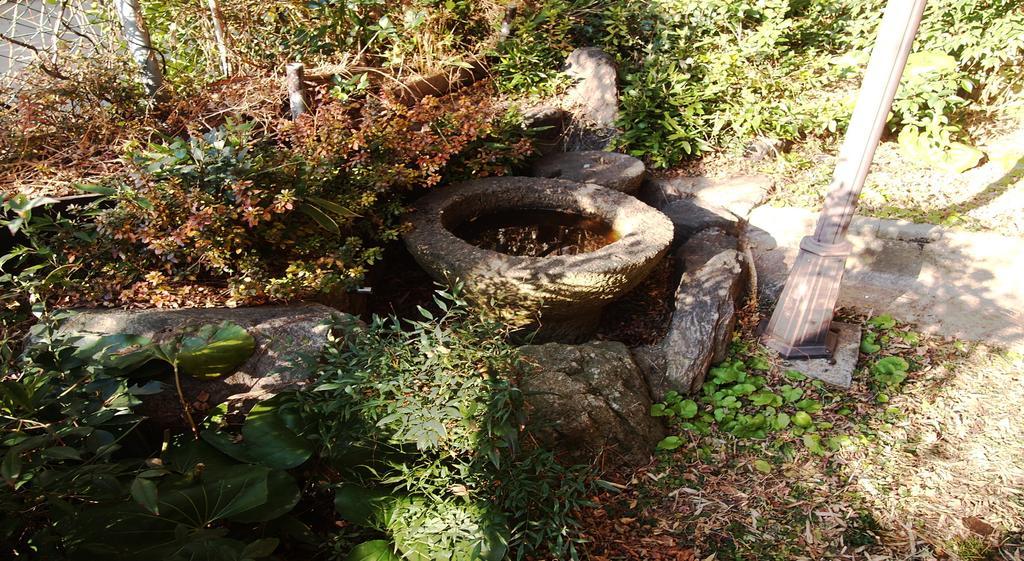 Hotel Secret Garden B *