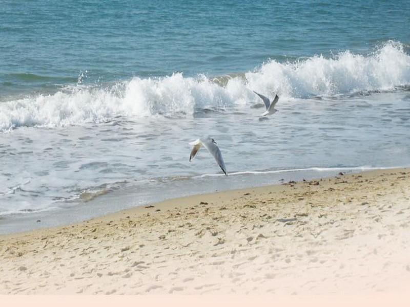 Libero Busan